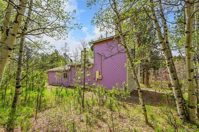 101 Campbell Rd, Bailey, CO 80421 - view of side of home
