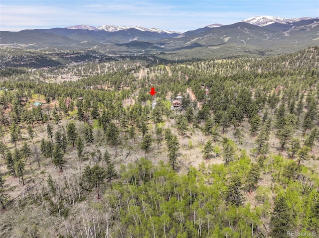 101 Campbell Rd, Bailey, CO 80421 - mountain view featuring a heavily wooded area