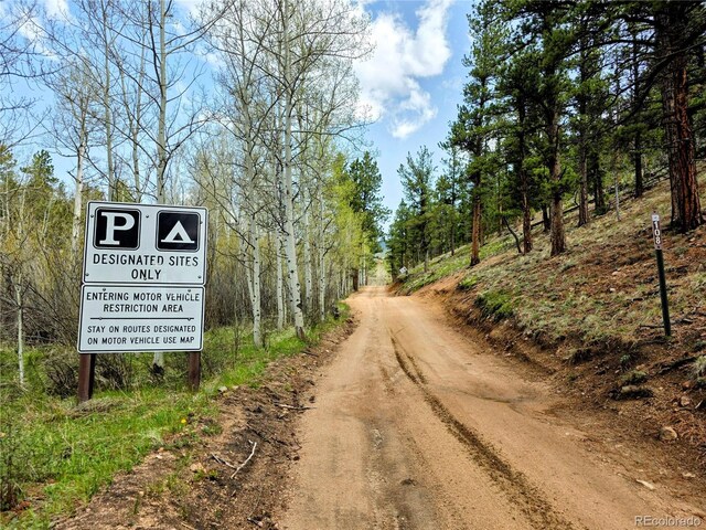 101 Campbell Rd, Bailey, CO 80421 - view of street