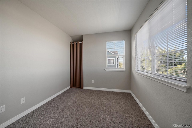 carpeted empty room with plenty of natural light