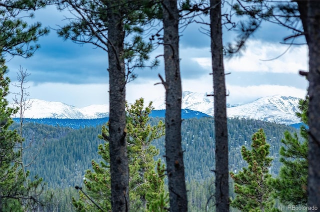 236 Harris Dr, Idaho Springs, CO 80452 - view of mountain background with a forest