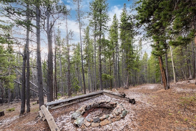 236 Harris Dr, Idaho Springs, CO 80452 - view of wooded area