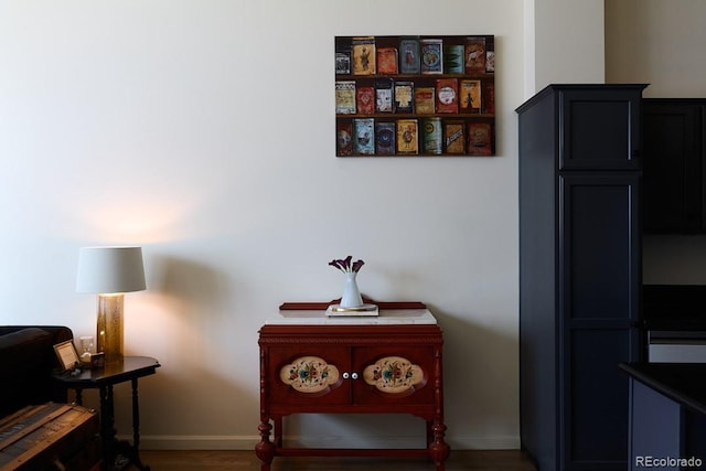 sitting room featuring wood-type flooring