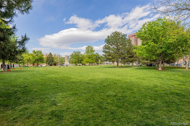1975 N Grant St Unit 509, Denver, CO 80203 - view of home's community featuring a lawn