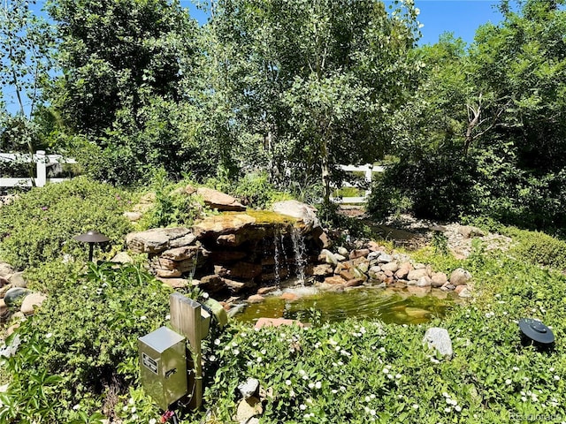12705 Kalamath Ct, Westminster, CO 80234 - view of local wilderness featuring a small pond