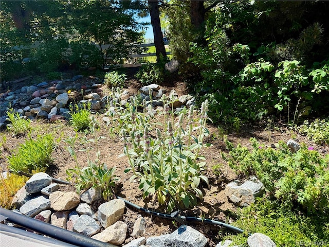 12705 Kalamath Ct, Westminster, CO 80234 - view of yard