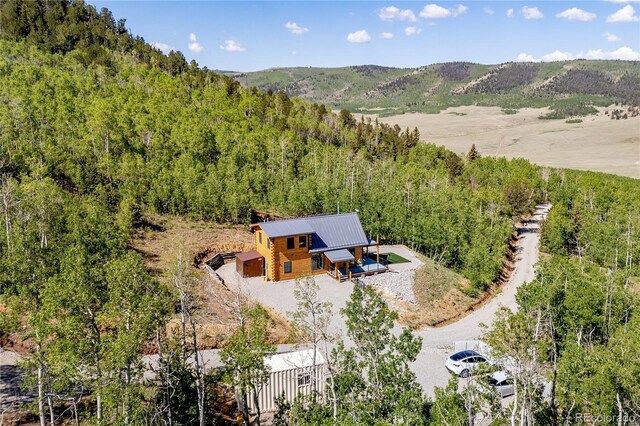 1023 Mexican Ridge Cir, Como, CO 80432 - photo 2