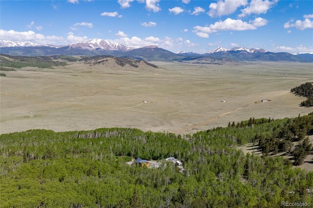 1023 Mexican Ridge Cir, Como, CO 80432 - photo 3