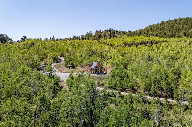 1023 Mexican Ridge Cir, Como, CO 80432 - photo 6