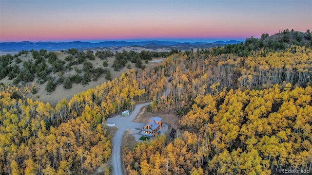 1023 Mexican Ridge Cir, Como, CO 80432 - photo 14