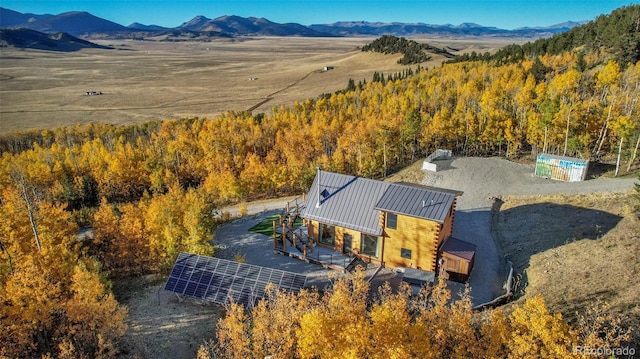 1023 Mexican Ridge Cir, Como, CO 80432 - photo 23