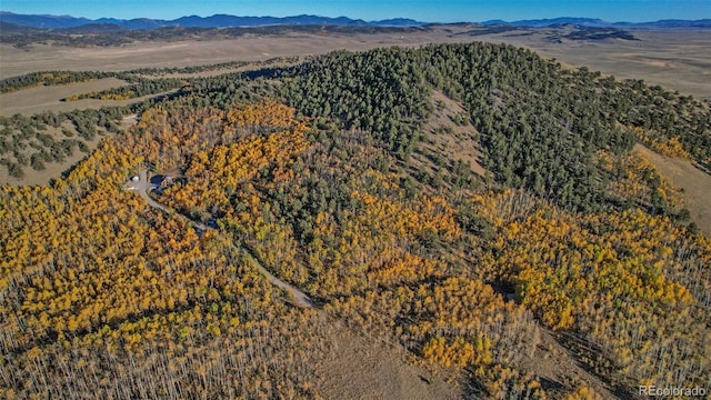 1023 Mexican Ridge Cir, Como, CO 80432 - photo 25
