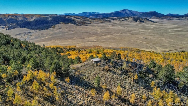 1023 Mexican Ridge Cir, Como, CO 80432 - photo 26