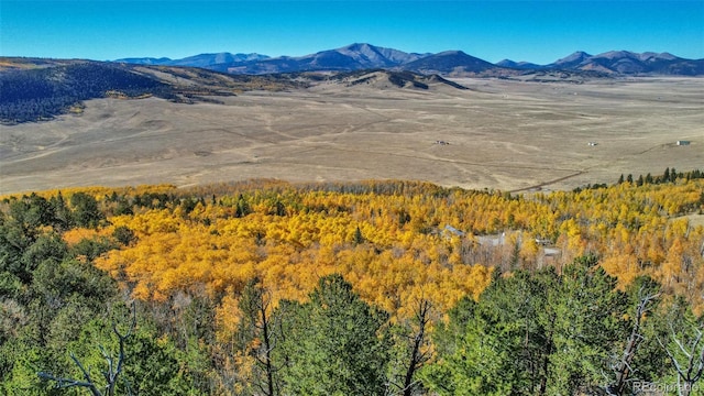 1023 Mexican Ridge Cir, Como, CO 80432 - photo 28