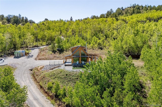 1023 Mexican Ridge Cir, Como, CO 80432 - photo 5