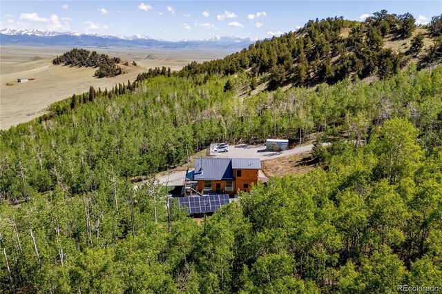 1023 Mexican Ridge Cir, Como, CO 80432 - photo 7