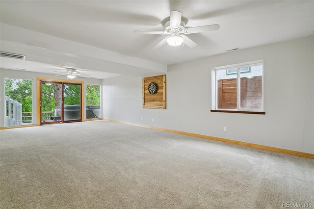 15216 Paddington Cir, Colorado Springs, CO 80921 - photo 38