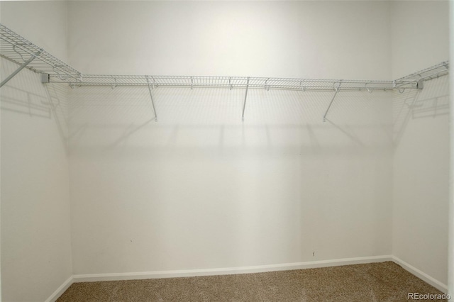 walk in closet with carpet