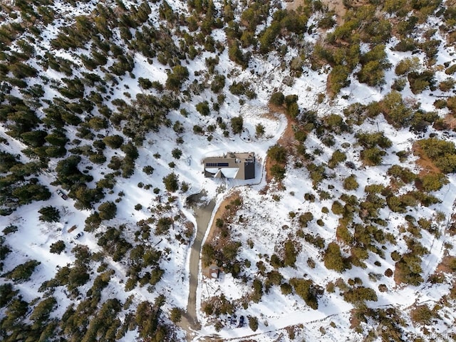 view of snowy aerial view