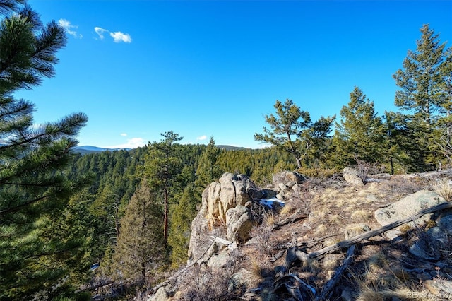 view of local wilderness