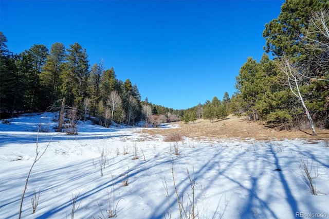 view of snow covered land