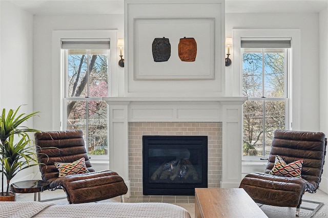 201 S Lafayette St, Denver, CO 80209 - living area featuring a fireplace