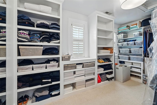 201 S Lafayette St, Denver, CO 80209 - spacious closet featuring carpet flooring