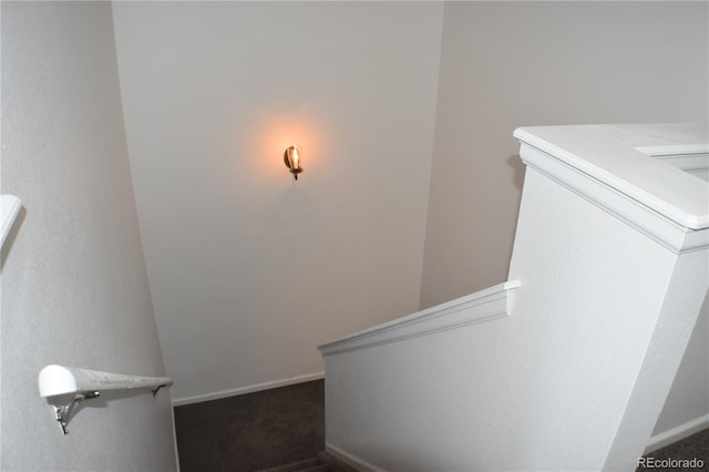 1768 Reilly Grv, Colorado Springs, CO 80951 - photo 11