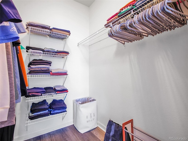 5765 N Genoa Way Unit 1-103, Aurora, CO 80019 - spacious closet with wood finished floors