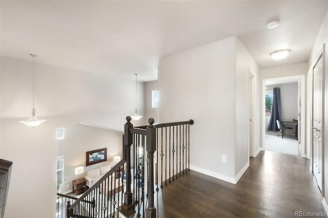 9135 Argentine Pass Trl, Colorado Springs, CO 80924 - corridor with an upstairs landing and wood finished floors