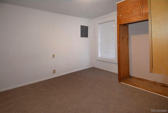 carpeted spare room featuring electric panel