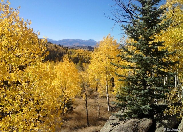 204 Strongbox Ct, Jefferson, CO 80456
