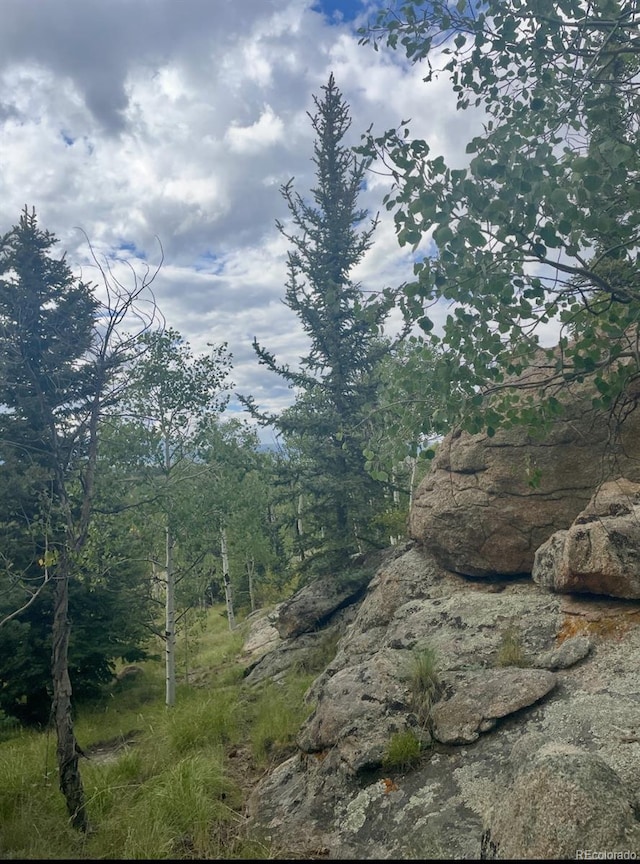 204 Strongbox Ct, Jefferson, CO 80456
