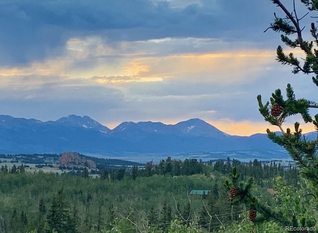 204 Strongbox Ct, Jefferson, CO 80456