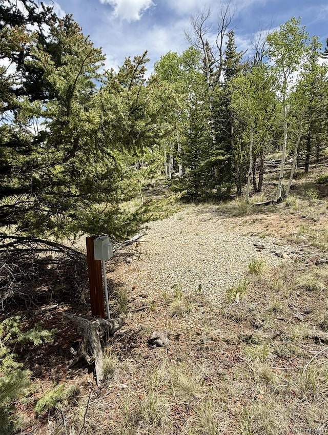 204 Strongbox Ct, Jefferson, CO 80456