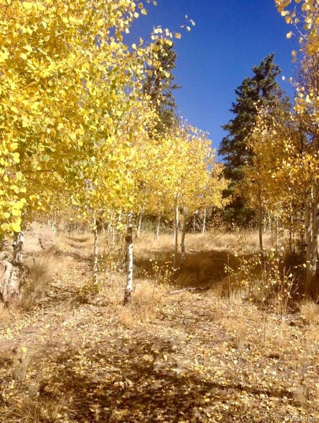 204 Strongbox Ct, Jefferson, CO 80456