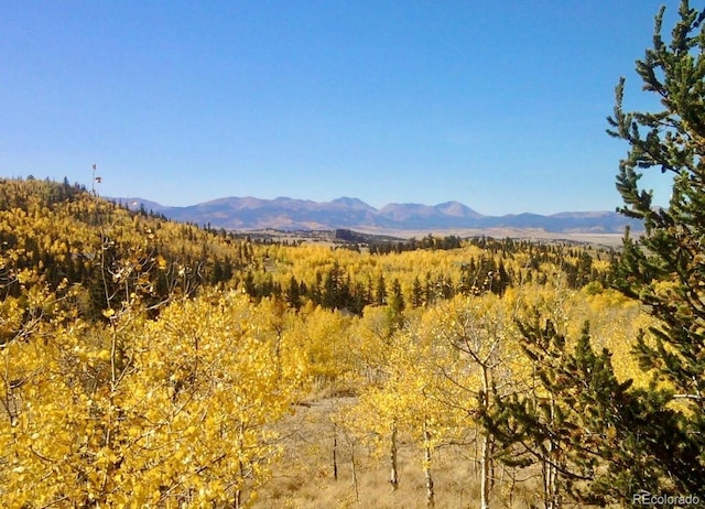204 Strongbox Ct, Jefferson, CO 80456