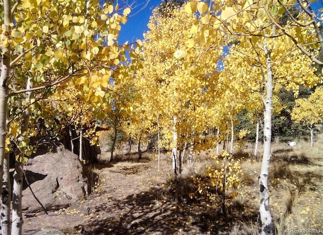 204 Strongbox Ct, Jefferson, CO 80456