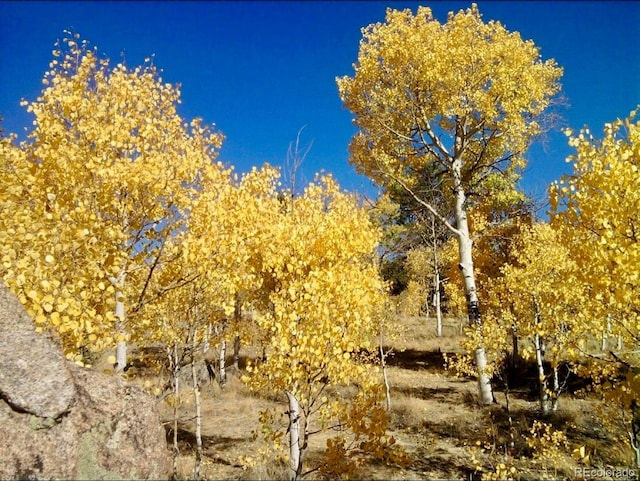 204 Strongbox Ct, Jefferson, CO 80456