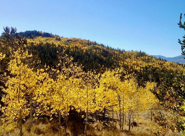 204 Strongbox Ct, Jefferson, CO 80456