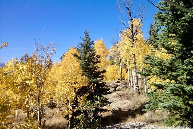 204 Strongbox Ct, Jefferson, CO 80456