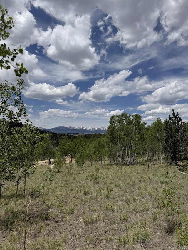 204 Strongbox Ct, Jefferson, CO 80456