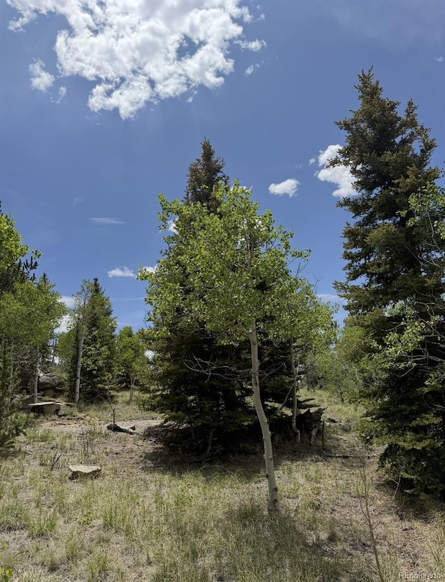 204 Strongbox Ct, Jefferson, CO 80456
