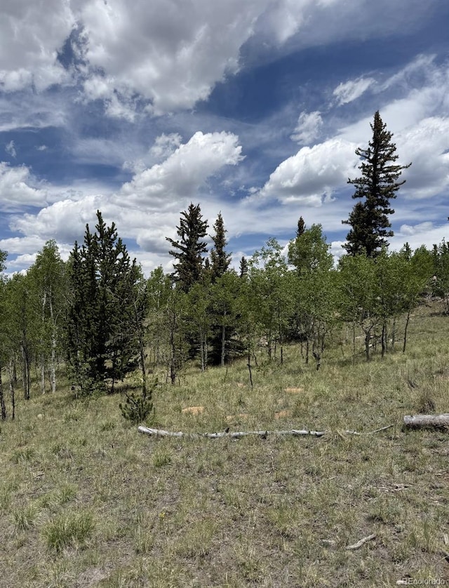 204 Strongbox Ct, Jefferson, CO 80456