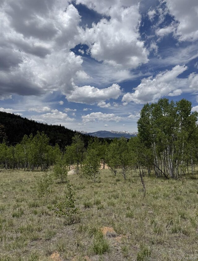 204 Strongbox Ct, Jefferson, CO 80456