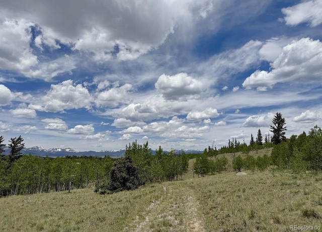 204 Strongbox Ct, Jefferson, CO 80456