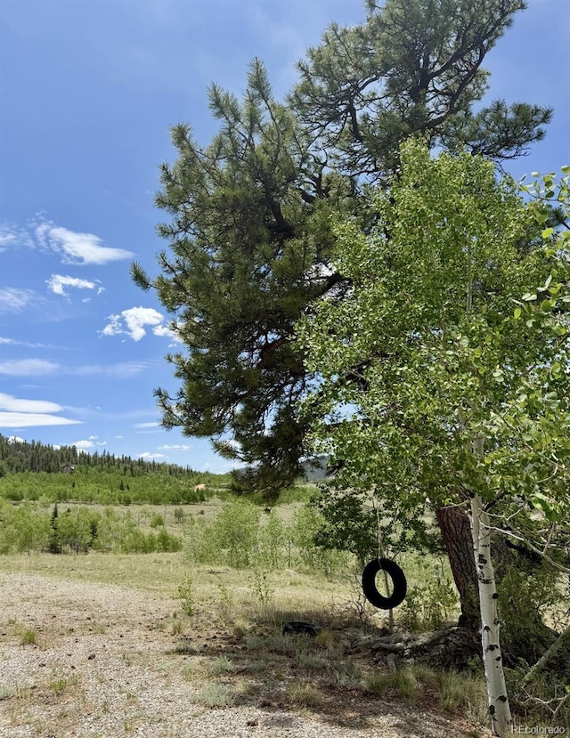 204 Strongbox Ct, Jefferson, CO 80456
