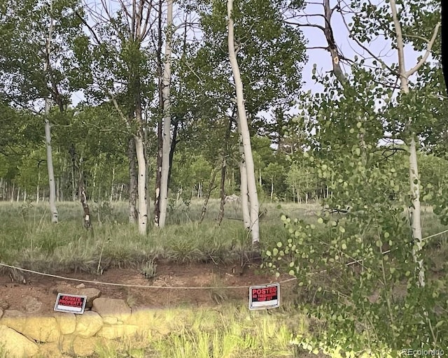 204 Strongbox Ct, Jefferson, CO 80456