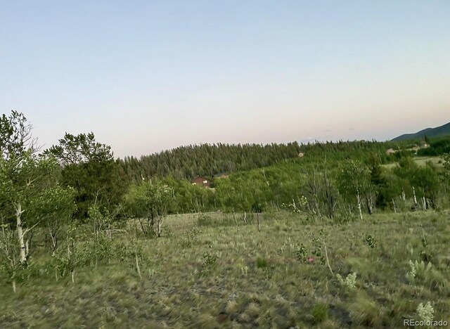 204 Strongbox Ct, Jefferson, CO 80456