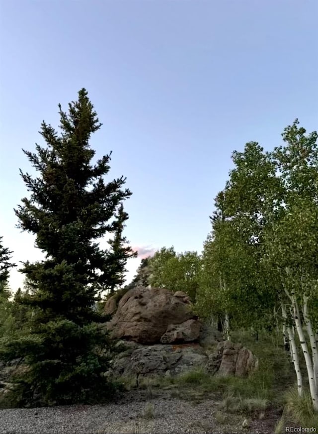 204 Strongbox Ct, Jefferson, CO 80456